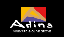 Adina-Full-Colour-Logo.png