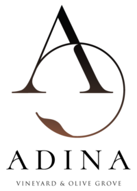 Adina Vineyard & Olive Grove Logo