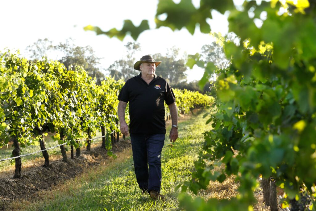 Vineyard manager walking through the vines